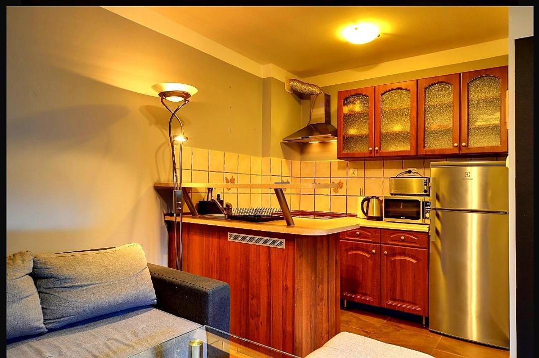 Appartement Apartament Partyzantow à Szklarska Poreba Extérieur photo